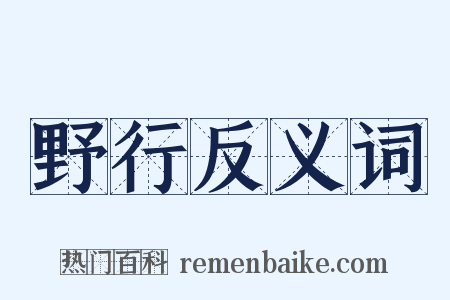 野行反义词是什么意思的图片